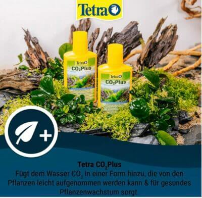 Tetra CO2 Plus: Für prächtige Aquarienpflanzen. Verbessert Wachstum und Farben. Jetzt bestellen und staunen!