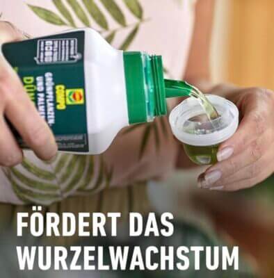 Blumendünger von Compo