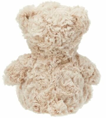 Teddy von Steiff 