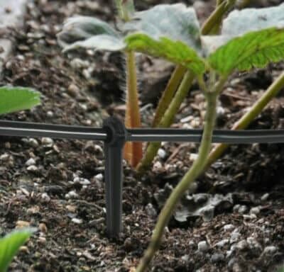 Effiziente Bewässerung: Decdeal 100St Micro Drip System Rohrhalter für 4/7mm Rohre.