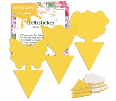 Gelbsticker