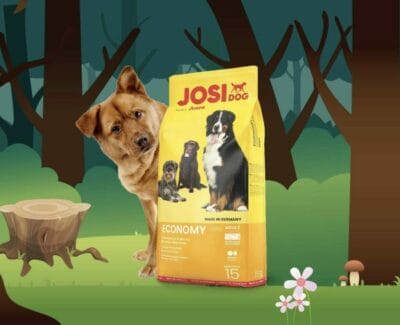 JosiDog Economy mit einem Hund im Wald