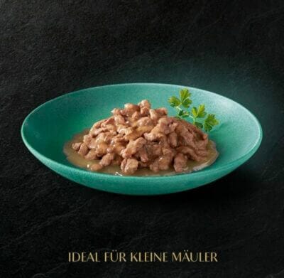 lecker angerichtetes Sheba Nassfutter in einer grünen Schale