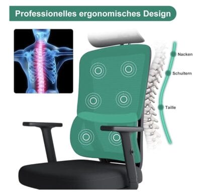 Eucladoceros 3w Ergonomischer Buerostuhl b