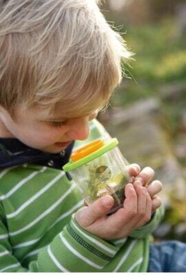 HABA Becherlupe für kleine Forscher – Natur erforschen, Vergrößerung erleben, perfekt für Abenteuer.
