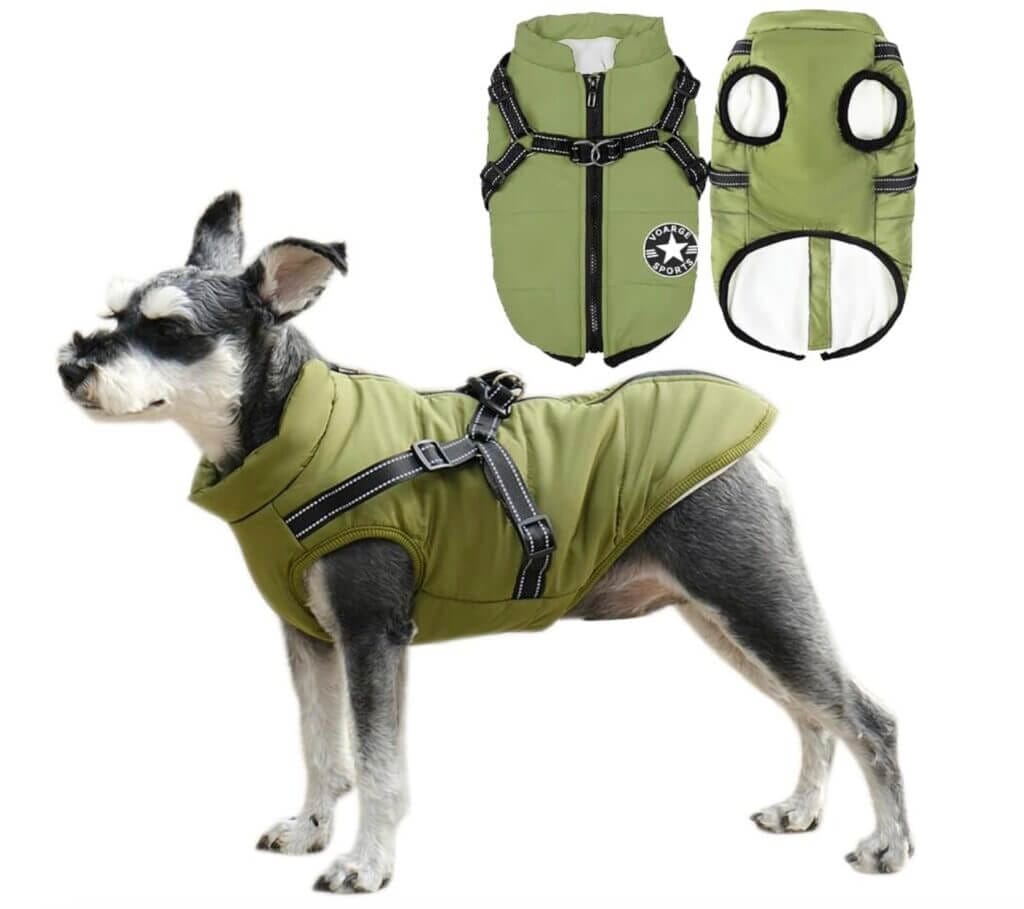 Voarge Hundejacke – 30% Rabatt