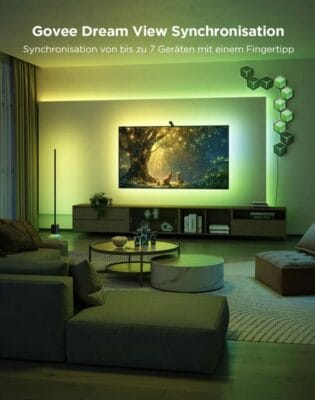 Govee Dream View Synchronisation