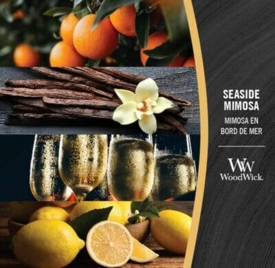 Sommerlicher Duft: WoodWick Hourglass Kerze, prickelnde Aromen, knisternder Holzdocht, für entspannte Abende.