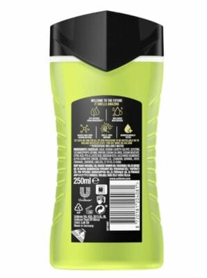 Axe Duschgel Inhaltsstoffe