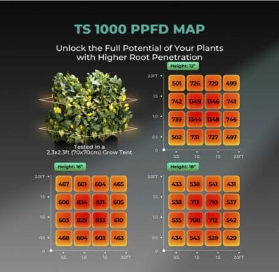 Optimiere Deine Zucht mit der MARS HYDRO TS1000, ideal für Gemüse und Blumen.

