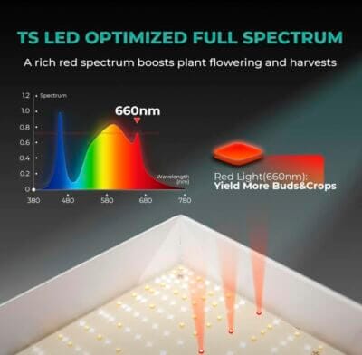 MARS HYDRO TS1000 LED Grow Lampe, Vollspektrum für optimales Pflanzenwachstum, 150 Watt Leistung.

