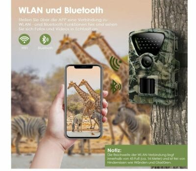 Wildkamera Foto Auflösung 