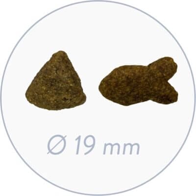 Vollwertiges bosch HPC Adult Hundetrockenfutter mit frischem Lachs und Kartoffeln für vitale Hunde.