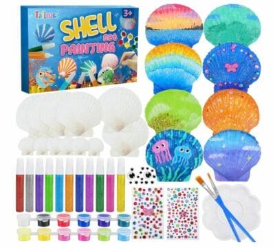 Tailmei Muschel Malset - 50% Rabatt 5 Tailmei Muschel Malset