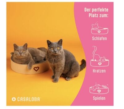CASALOBA Katzenkorb zum Schlafen, Kratzen und Spielen 