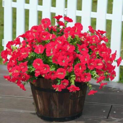 Wetterfeste künstliche Blumen für Balkon und Garten