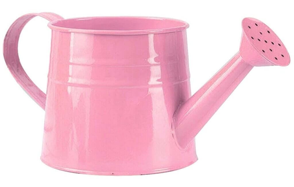 Vintage Gießkanne – 50% Rabatt