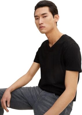 TOM TAILOR Herren T-Shirt