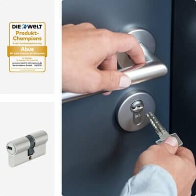 ABUS Profilzylinder D6XNP 30/30