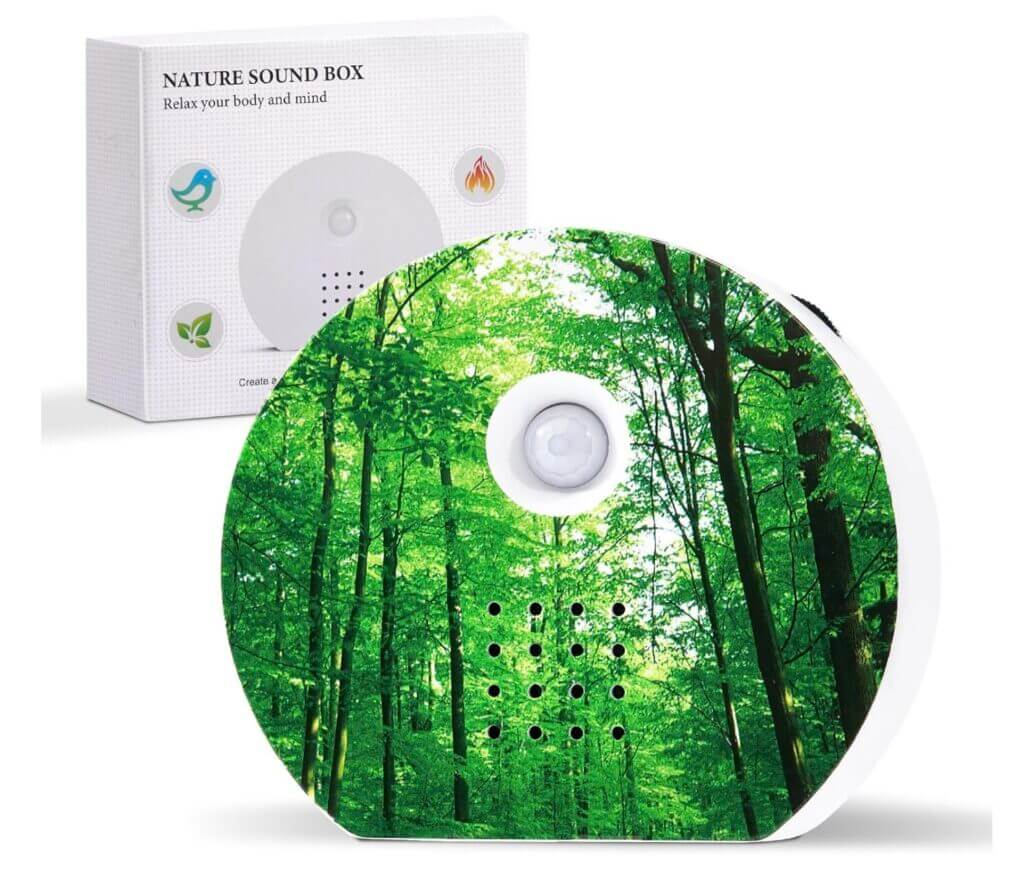 PHYSEN Vogelgezwitscher Soundbox – 55% Rabatt