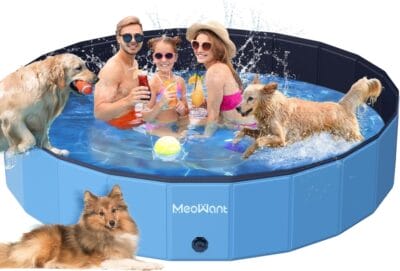Meowant Hundepool Faltbar