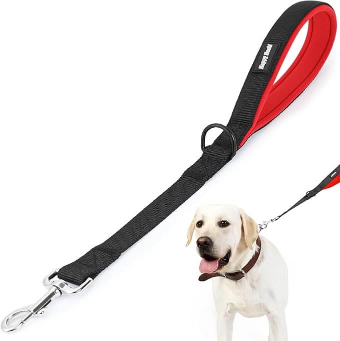 HAPPY HACHI Kurze Hundeleine – 40% Rabatt