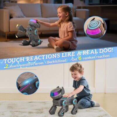 2025 Ferngesteuerter Roboter Hund b