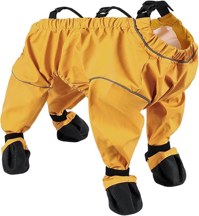 Hottip.de Schnäppchen ✅ aktuelle Deals ✅ Angebote ✅ Preisfehler und Rabatte 55 Hunde Pfotenschutz – 50% Rabatt