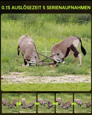 Wildkamera Solar WLAN